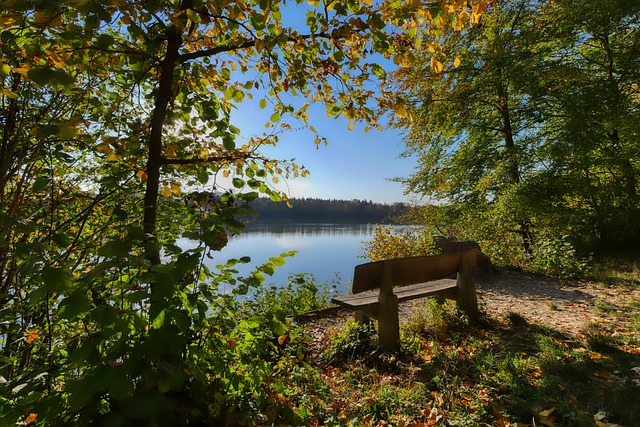 制四川队的 制四川队的