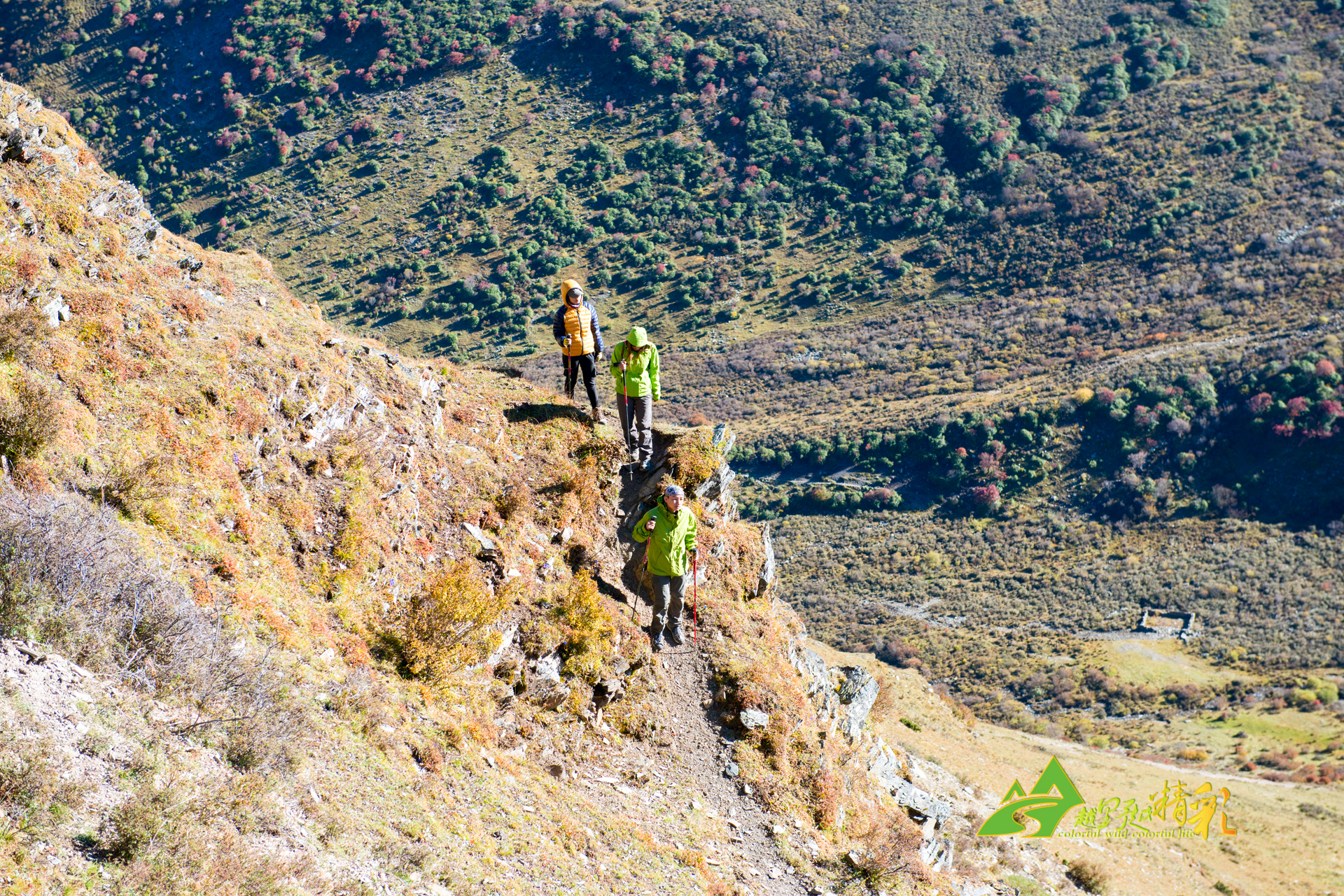 推动中国球 推动中国球