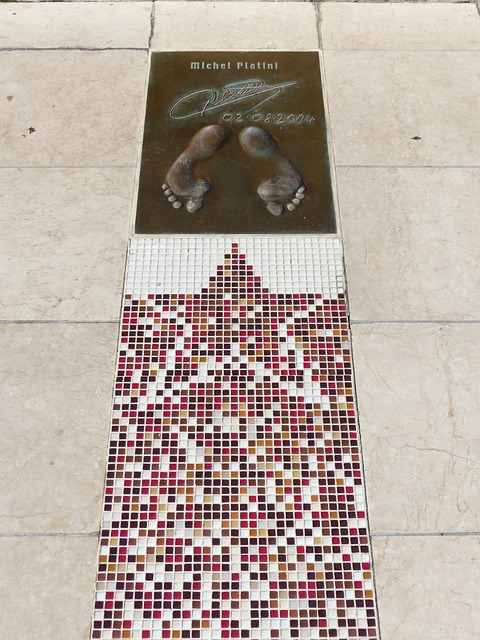 相关成功案 相关成功案