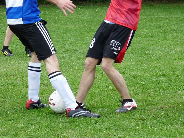 可持续发展 可持续发展