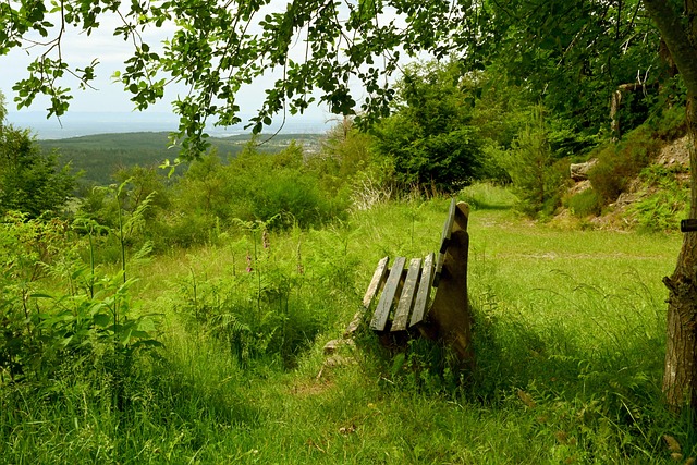 塔爾世界杯 塔爾世界杯