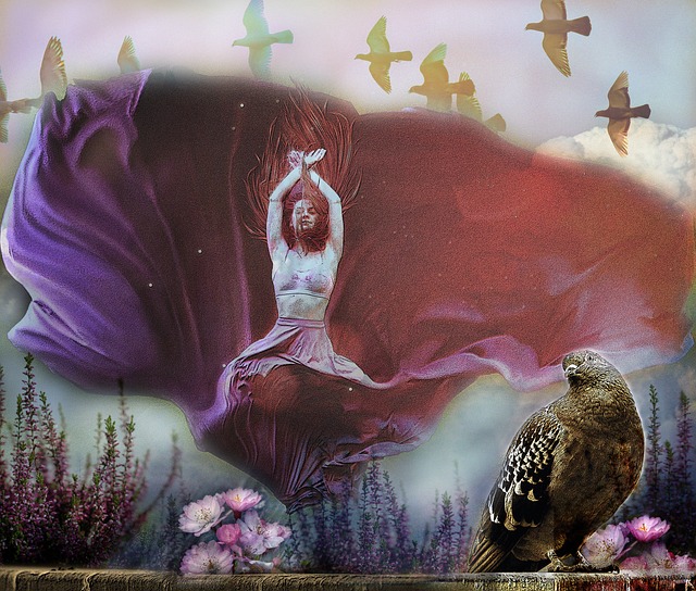 次参与品牌 次参与品牌